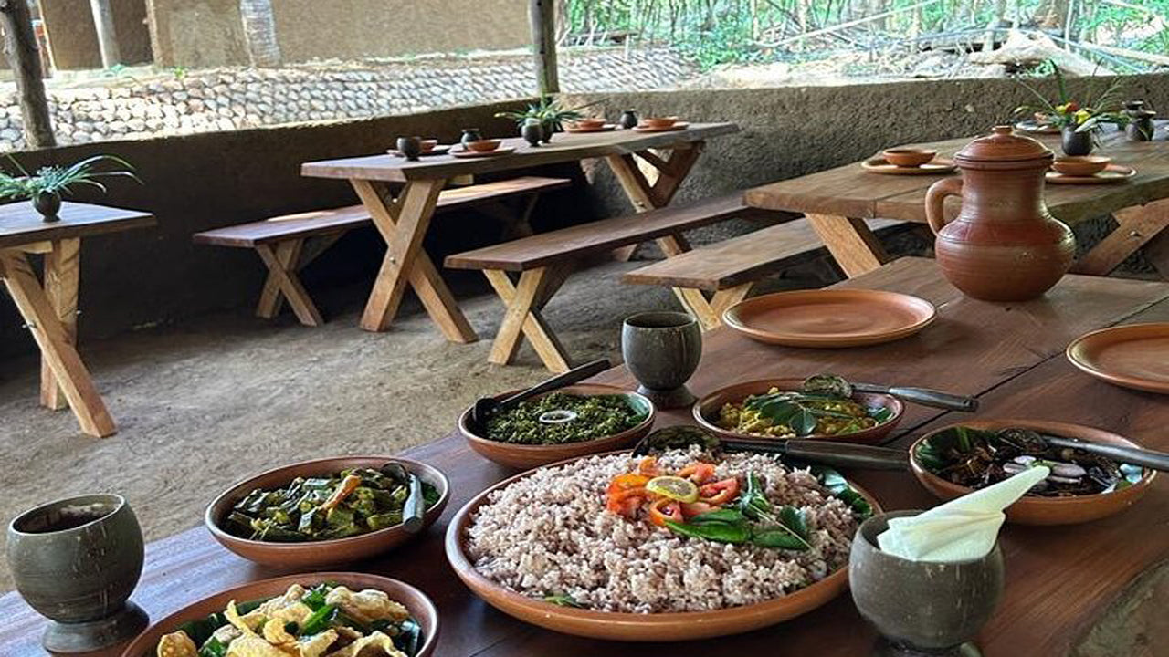 Expérience sur l'agriculture, les mines de pierres précieuses et les villages du Sri Lanka à Ceylan 1850