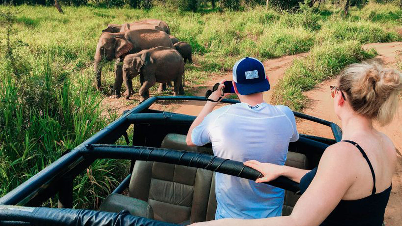 Excursion d'une journée au Hurulu Eco Park Safari au départ de Pasikuda
