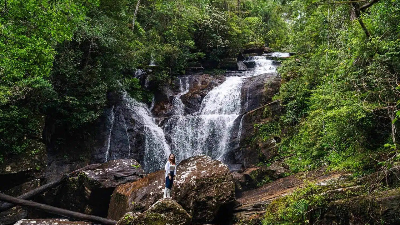 Excursion d'une journée dans la forêt tropicale de Sinharaja au départ d'Ahangama