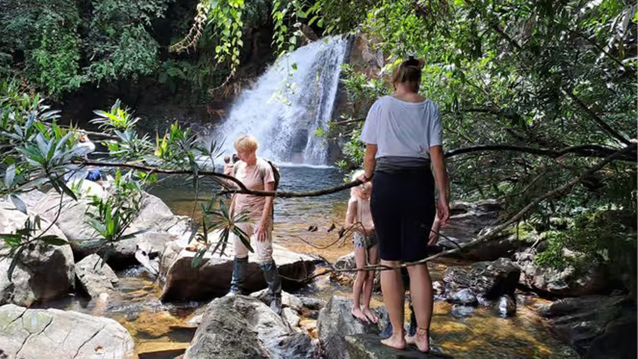 Excursion d'une journée dans la forêt tropicale de Sinharaja au départ d'Ahangama