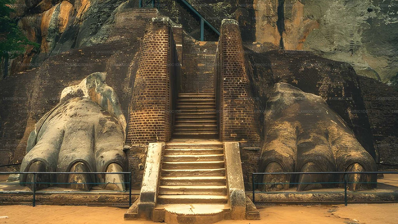 Sigiriya Rock, expérience du village et safari animalier au départ de Pasikuda
