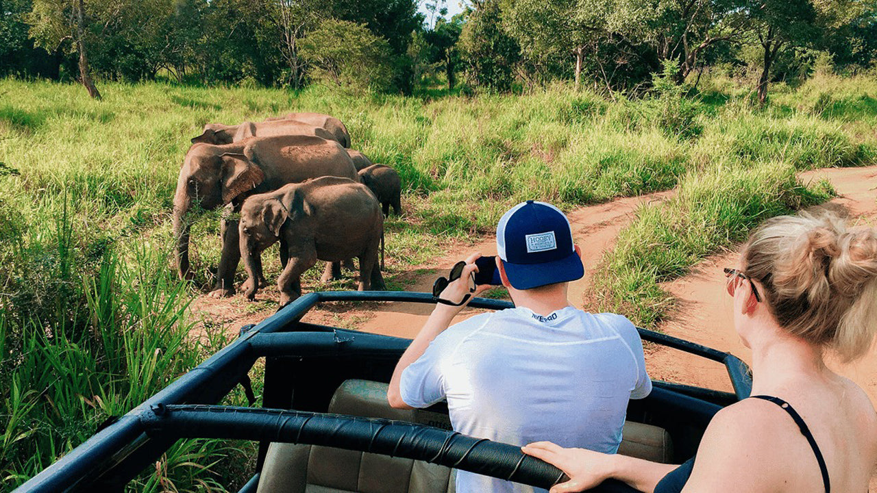 Polonnaruwa Heritage et Hurulu Eco Park Safari au départ de Pasikuda