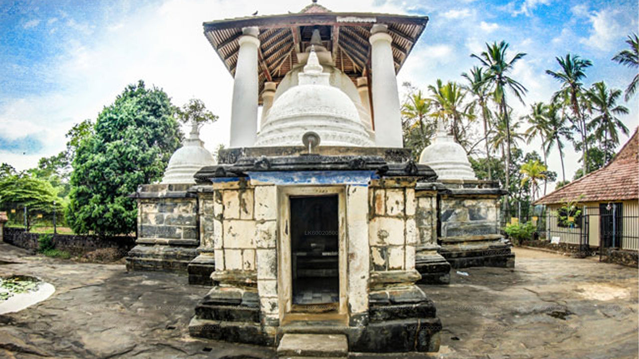 Circuit Temple Run au départ de Kandy
