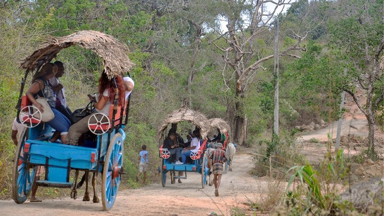 Two horse-drawn carriages with people on a dirt road surrounded by trees.