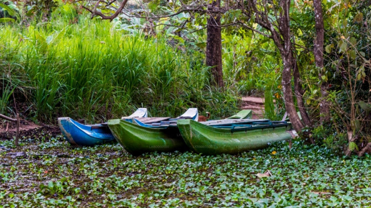 Visite du village d'Hiriwadunna au départ de Habarana