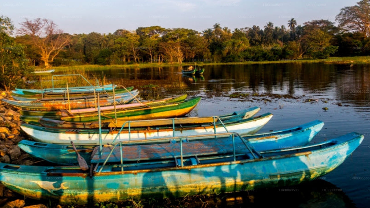Visite du village d'Hiriwadunna au départ de Habarana
