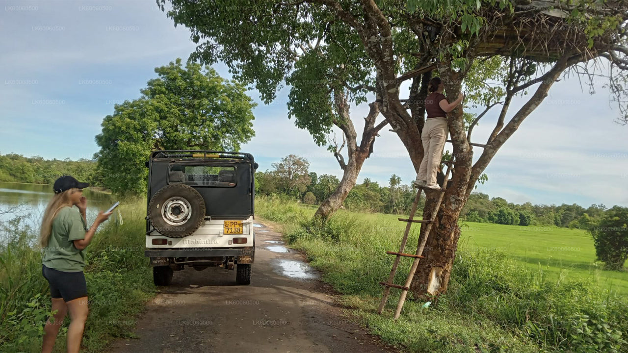 Visite du village d'Hiriwadunna au départ de Habarana