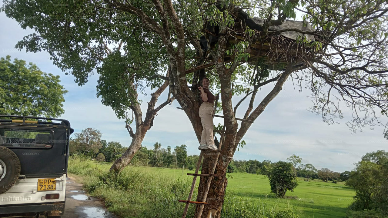 Visite du village d'Hiriwadunna au départ de Habarana