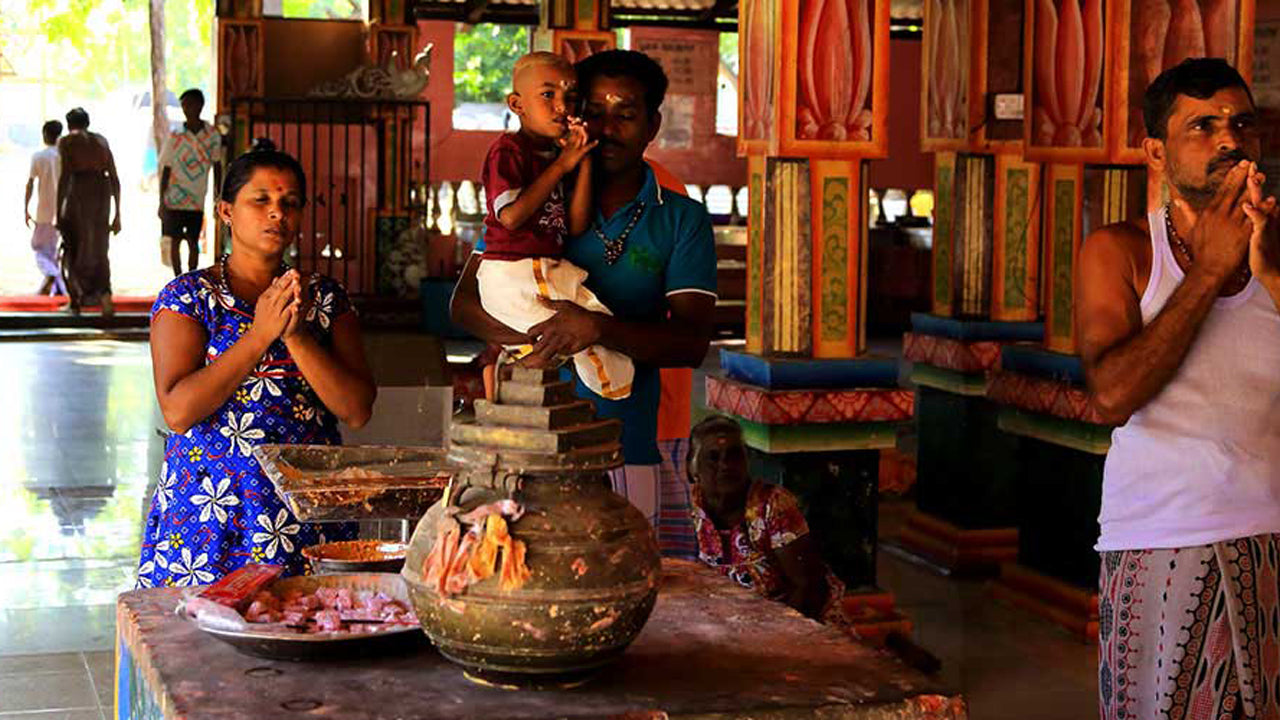 Kumana Countryside and Wildlife Tour from Arugambay