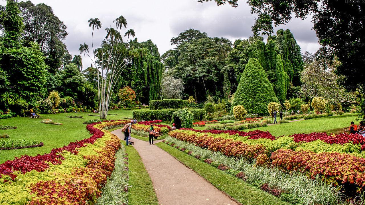 Visite de la ville de Kandy au départ de Kitulgala