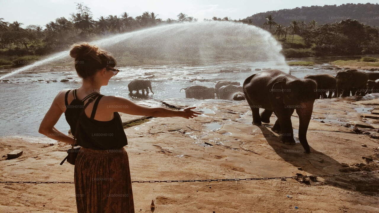 Visite de la ville de Kandy au départ de Kitulgala