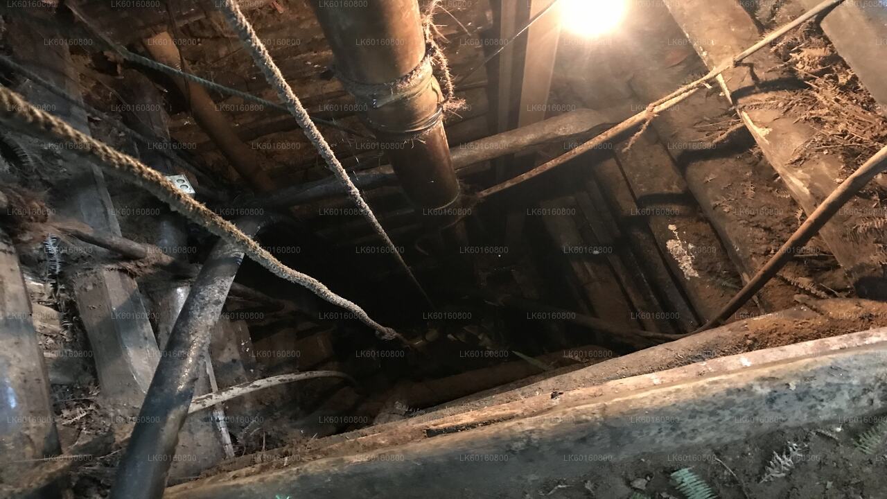 Explorez les mines de pierres précieuses de Rathnapura depuis Wadduwa