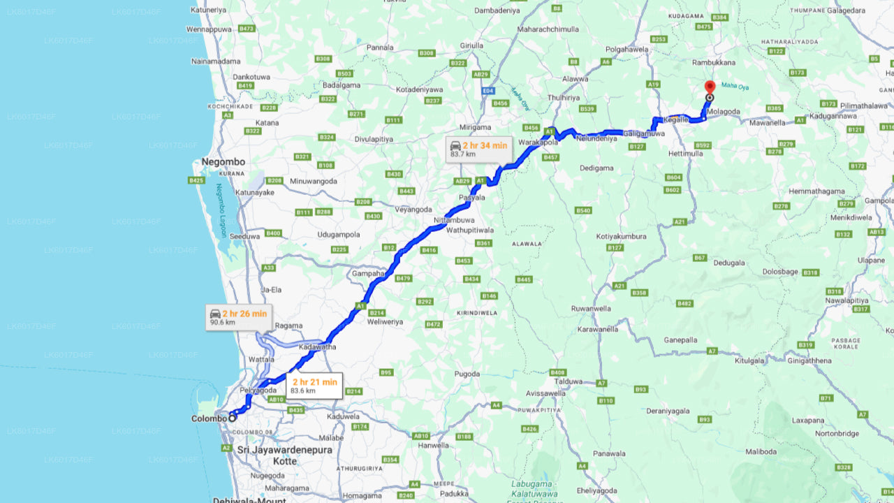 Fondation Millennium Elephant de Colombo