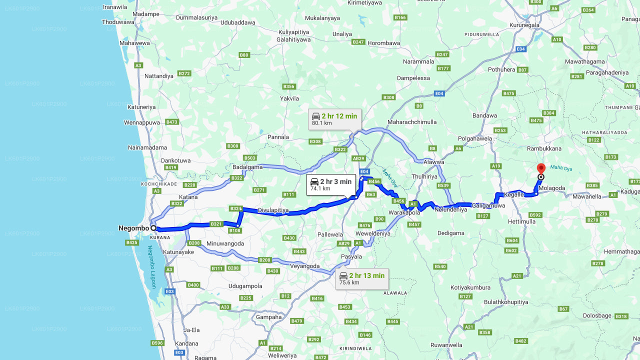 Fondation Millennium Elephant de Negombo