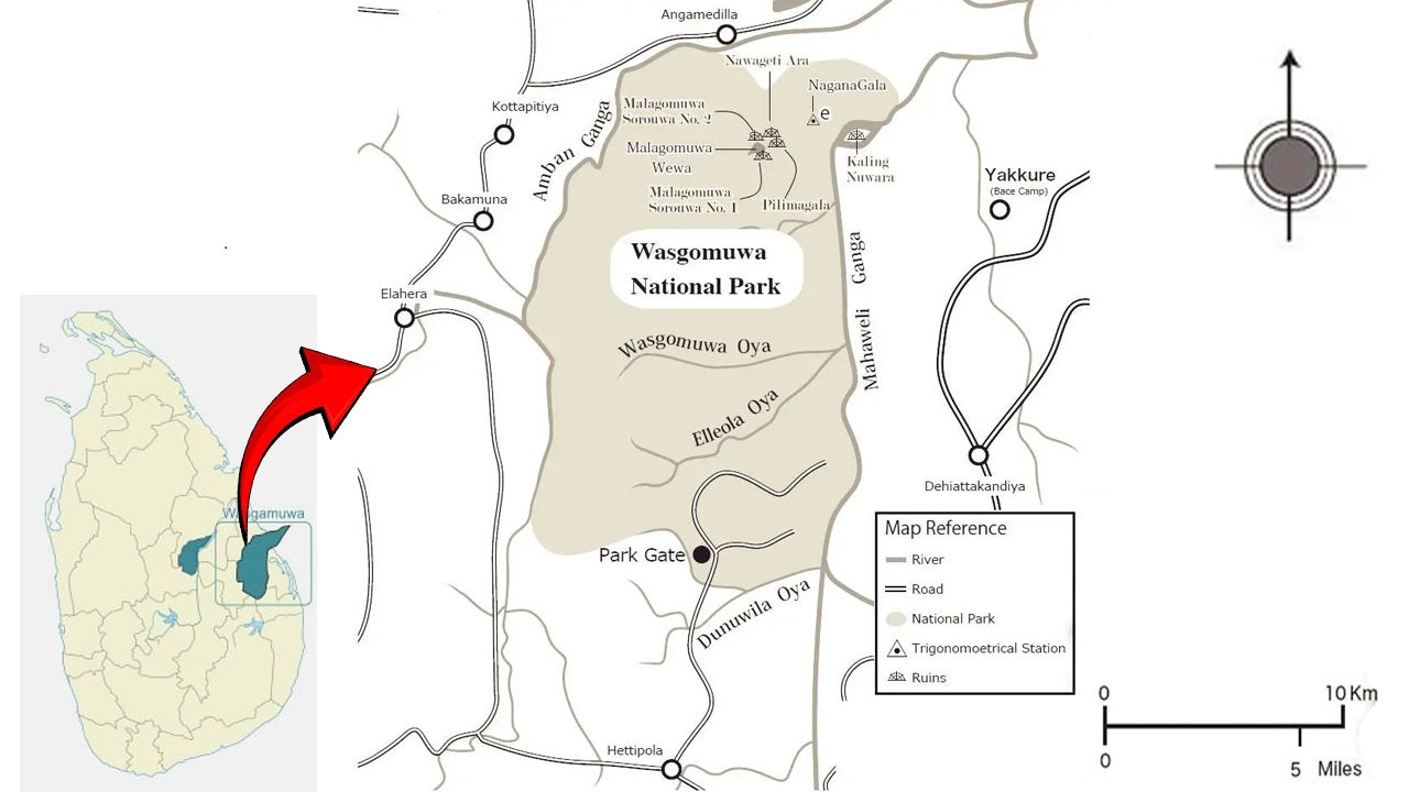 Safari dans le parc national de Wasgamuwa au départ de Polonnaruwa