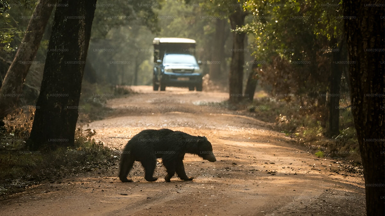 Safari au parc national de Yala depuis Unawatuna