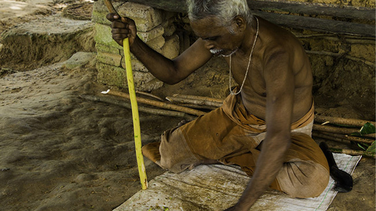 Coastal Ride to Galle from Panadura