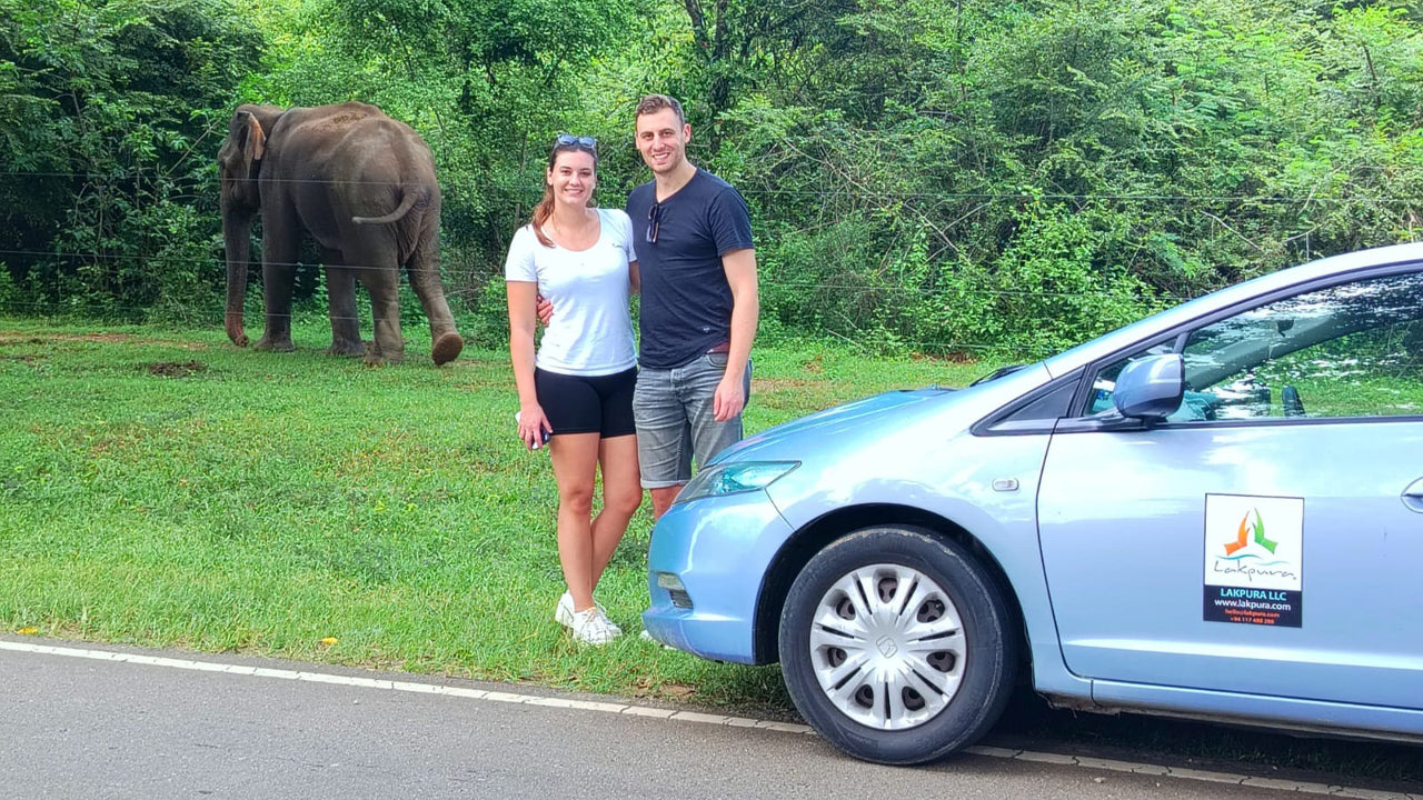Safari dans le parc national d'Udawalawe au départ de Mirissa