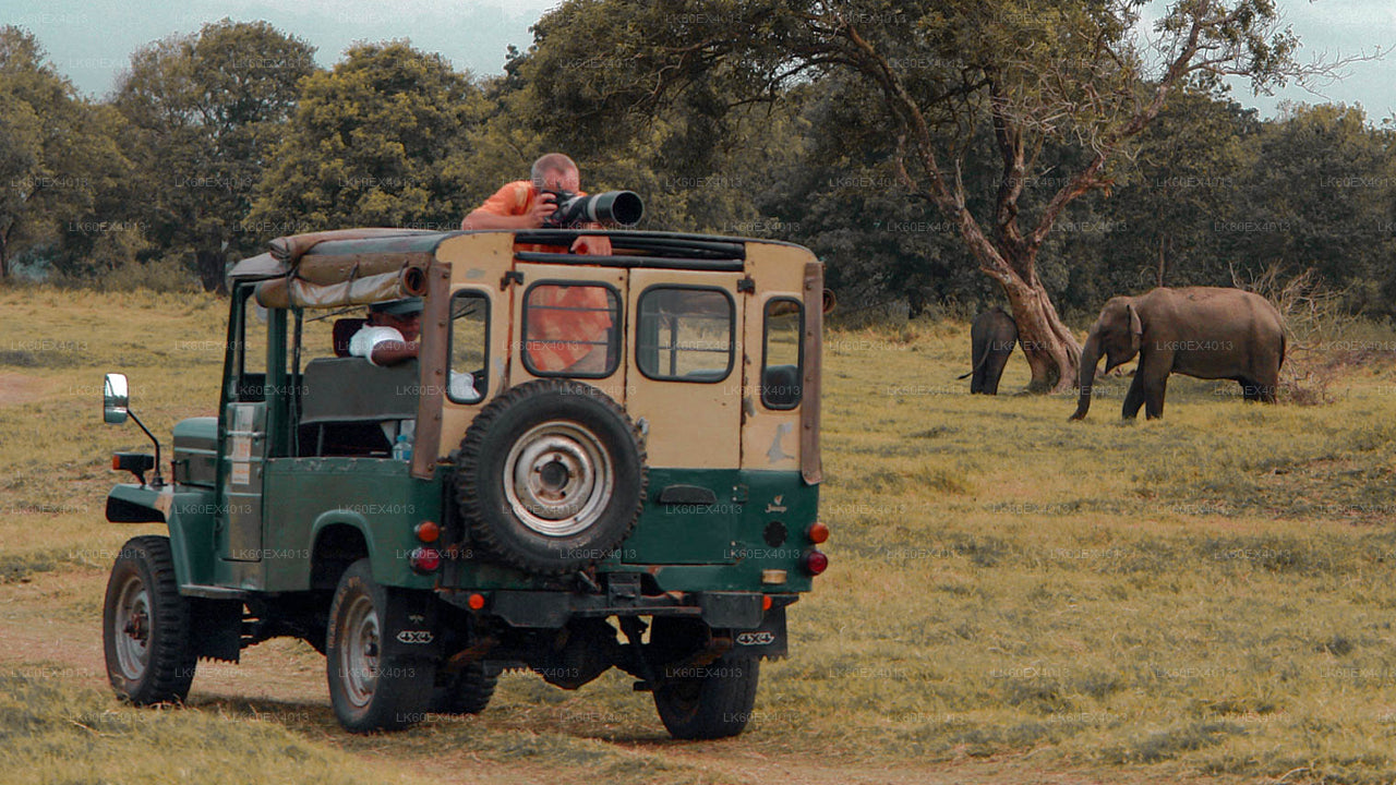Visite privée de Mirissa à Ella avec Udawalawe Safari