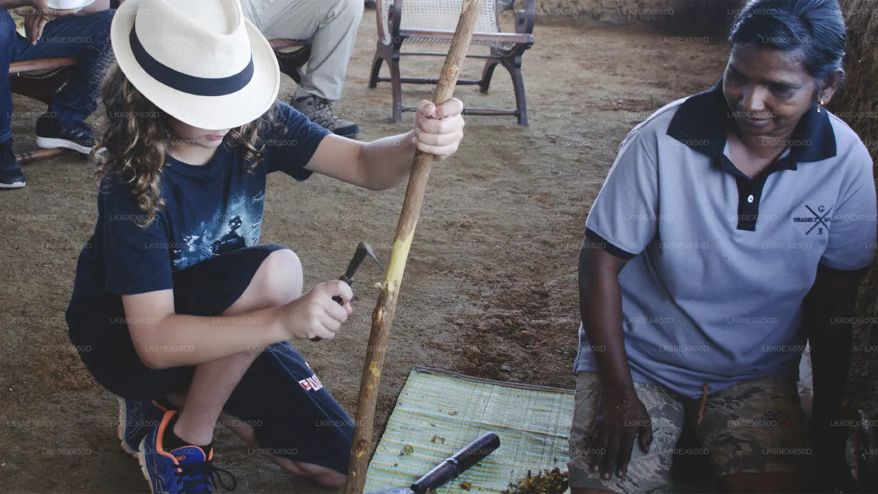 Private Cinnamon Experience from Weligama