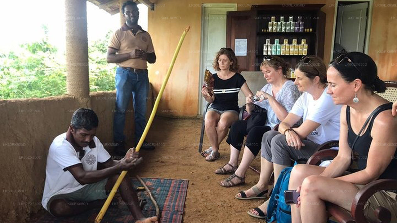 Private Cinnamon Experience from Weligama