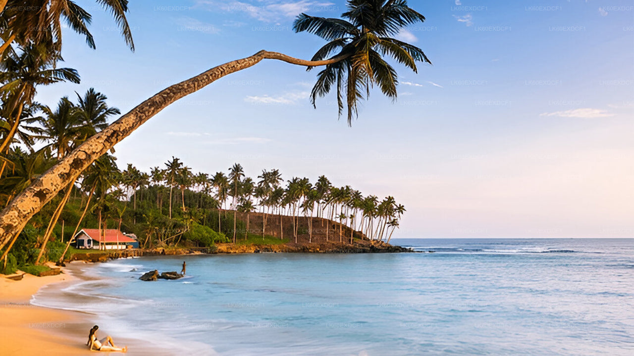 Visite privée d'Ella à Mirissa avec Udawalawe Safari