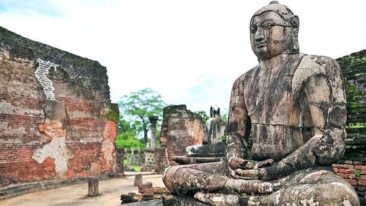 Transfert privé de Sigiriya à Pasikudah avec visite de la ville antique de Polonnaruwa