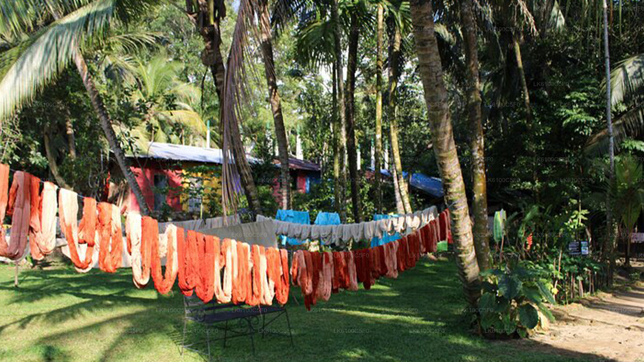 Explorez les trésors cachés de Galle et dînez chez les habitants.