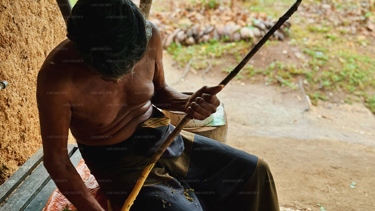 Explorez les trésors cachés de Galle et dînez chez les habitants.