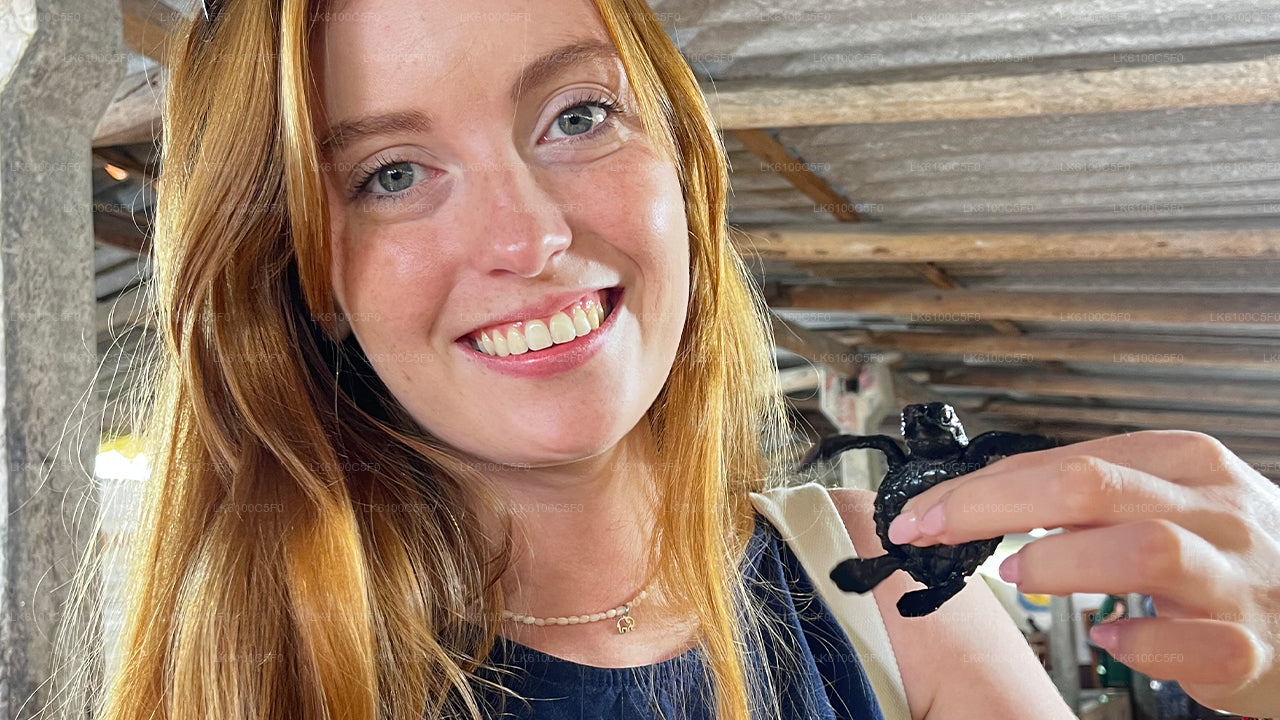 Explorez les trésors cachés de Galle et dînez chez les habitants.