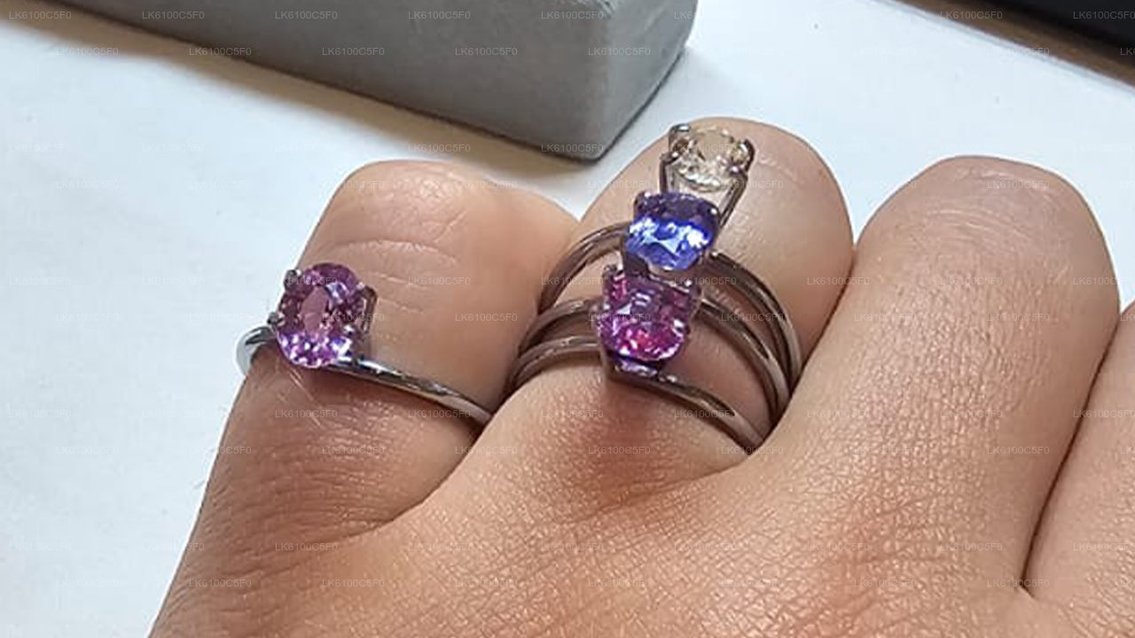 Explorez les trésors cachés de Galle et dînez chez les habitants.