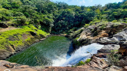 Visite des chutes d'eau de la forêt tropicale de Sinharaja