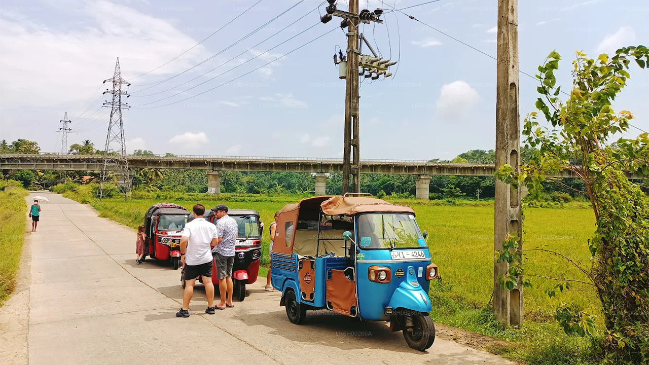 Safari en tuk-tuk sur la côte sud au départ de Galle