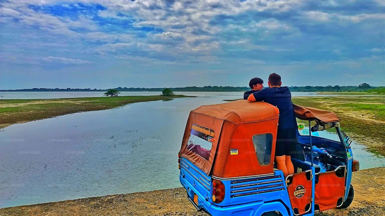 Safari en tuk-tuk sur la côte sud au départ de Galle