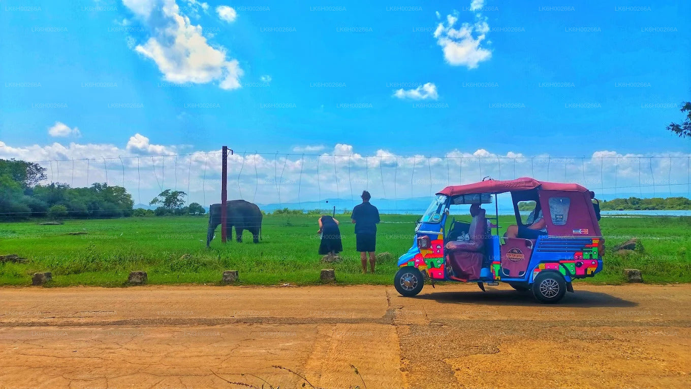 Safari en tuk-tuk sur la côte sud au départ de Galle