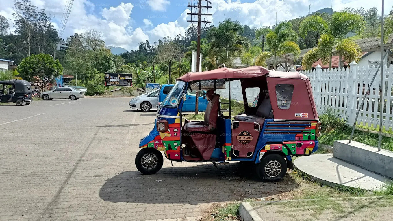 Safari en tuk-tuk sur la côte sud au départ de Galle
