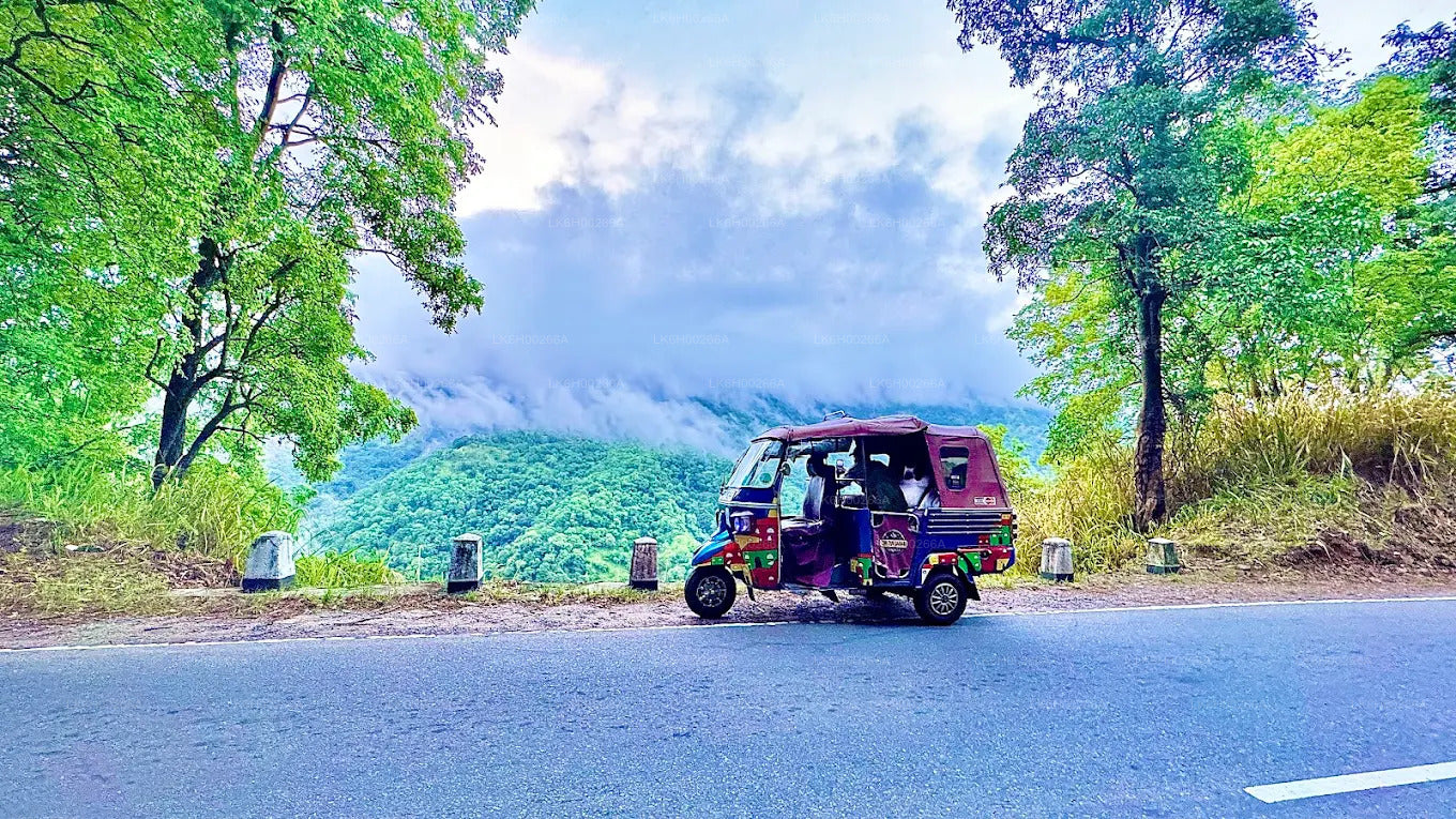 Safari en tuk-tuk sur la côte sud au départ de Galle