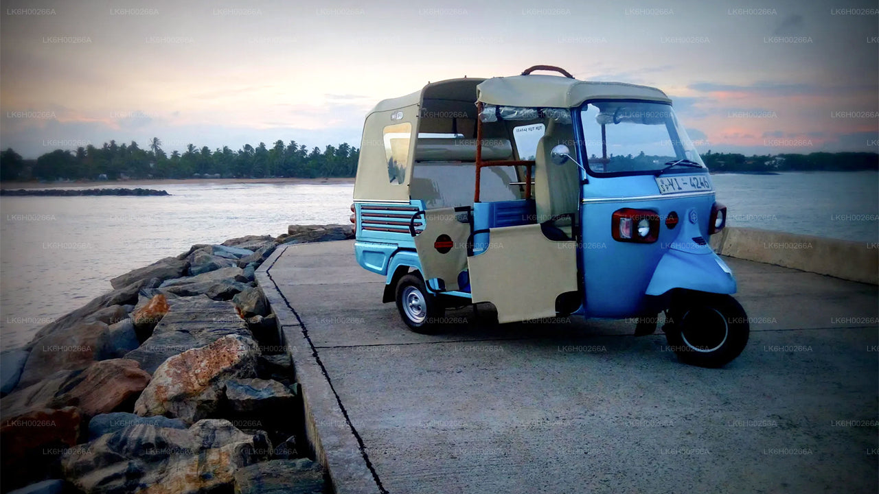 Safari en tuk-tuk sur la côte sud au départ de Galle