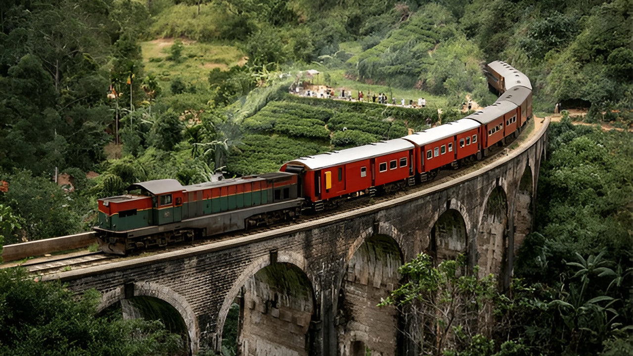 Calypso Tourist Train Ride