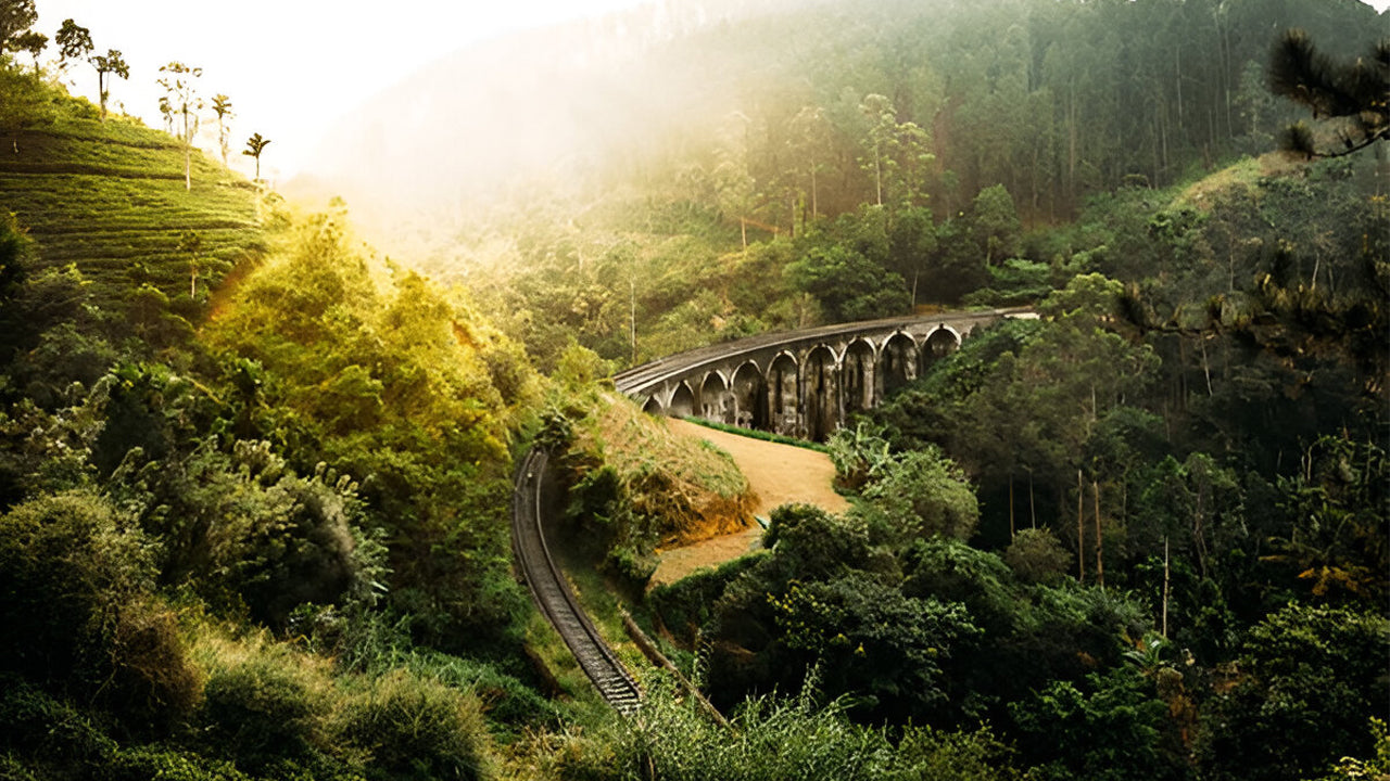 Calypso Tourist Train Ride