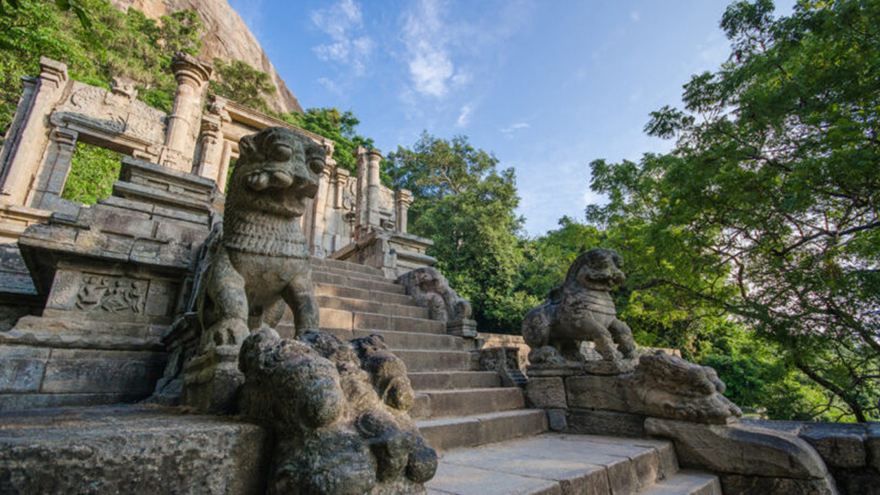 Billets d'entrée à Yapahuwa