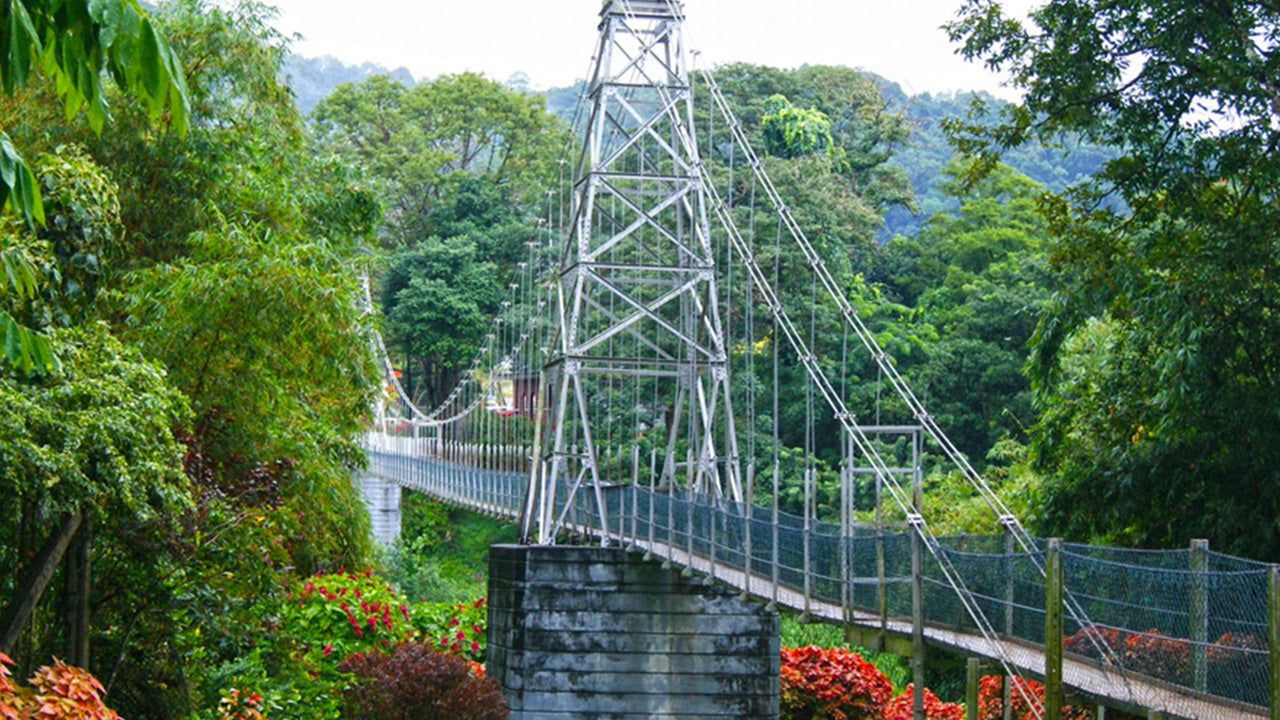Billets d'entrée au jardin botanique de Peradeniya