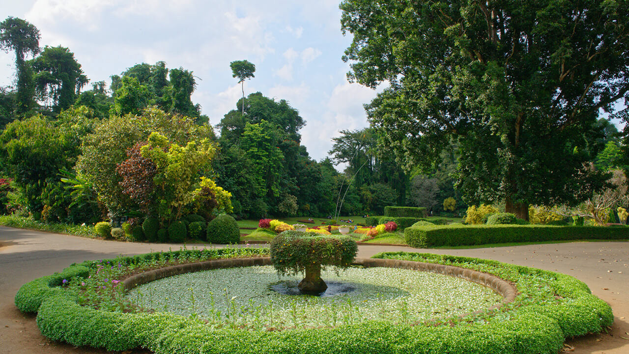 Billets d'entrée au jardin botanique de Peradeniya