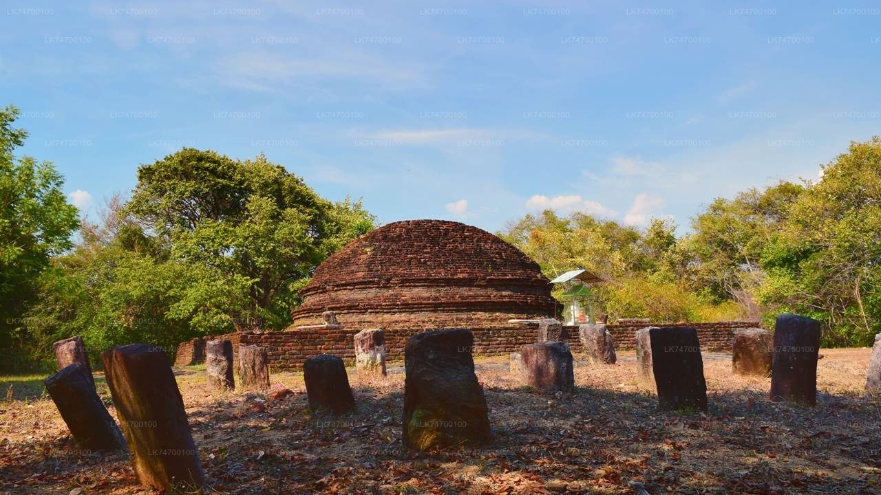 Randonnée jusqu'au rocher circulaire de Danigala depuis Aaralaganwila