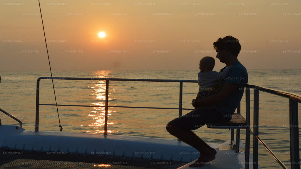 Croisière en yacht de 2 heures au départ de Mirissa