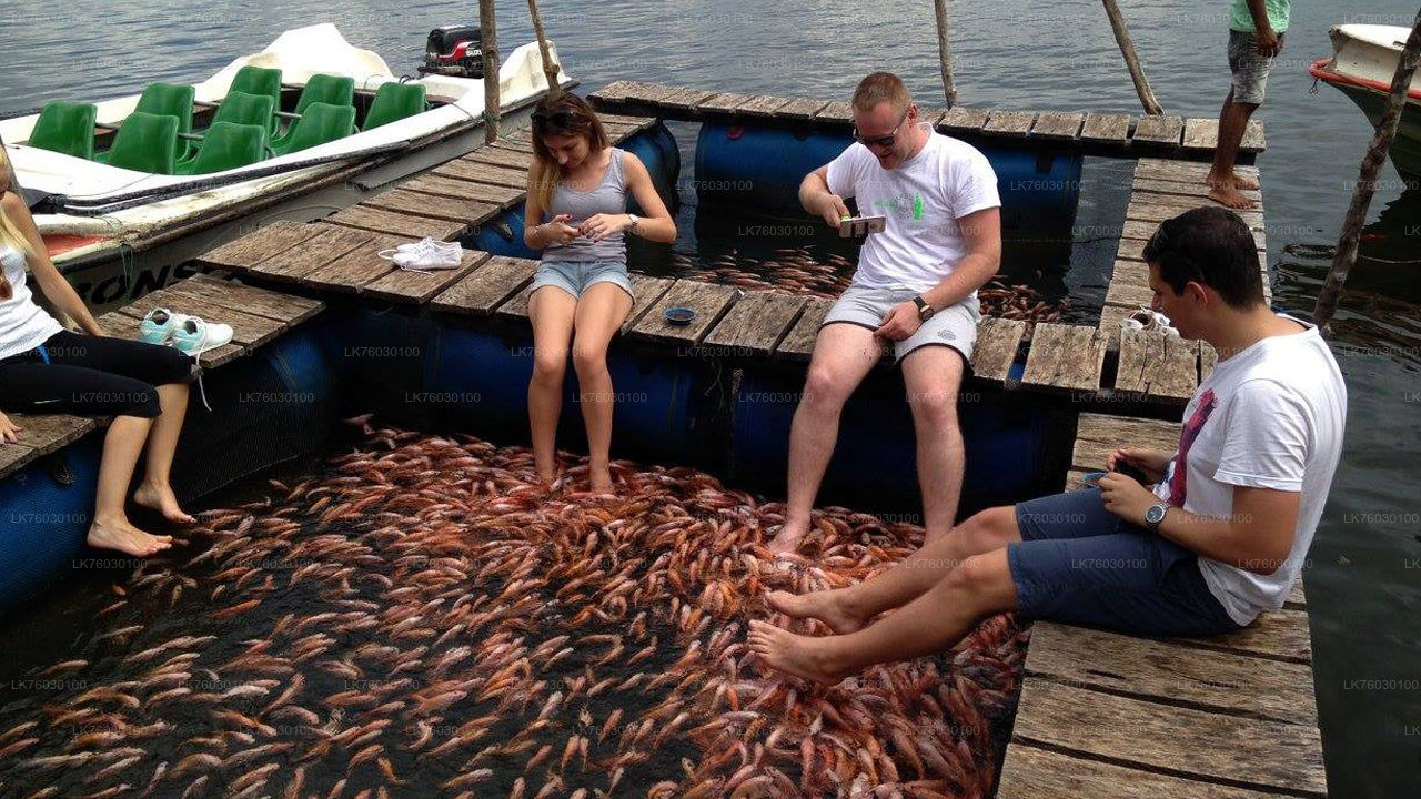 Safari en bateau sur la rivière Madu