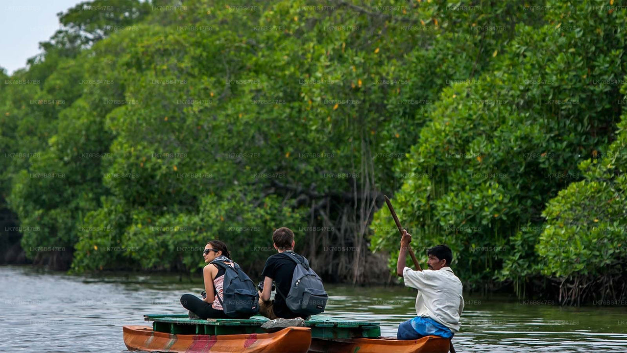 Promenade guidée traditionnelle Thoni dans la lagune de Pasikudah