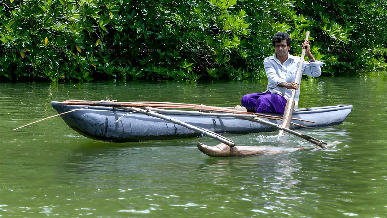 Promenade guidée traditionnelle Thoni dans la lagune de Pasikudah
