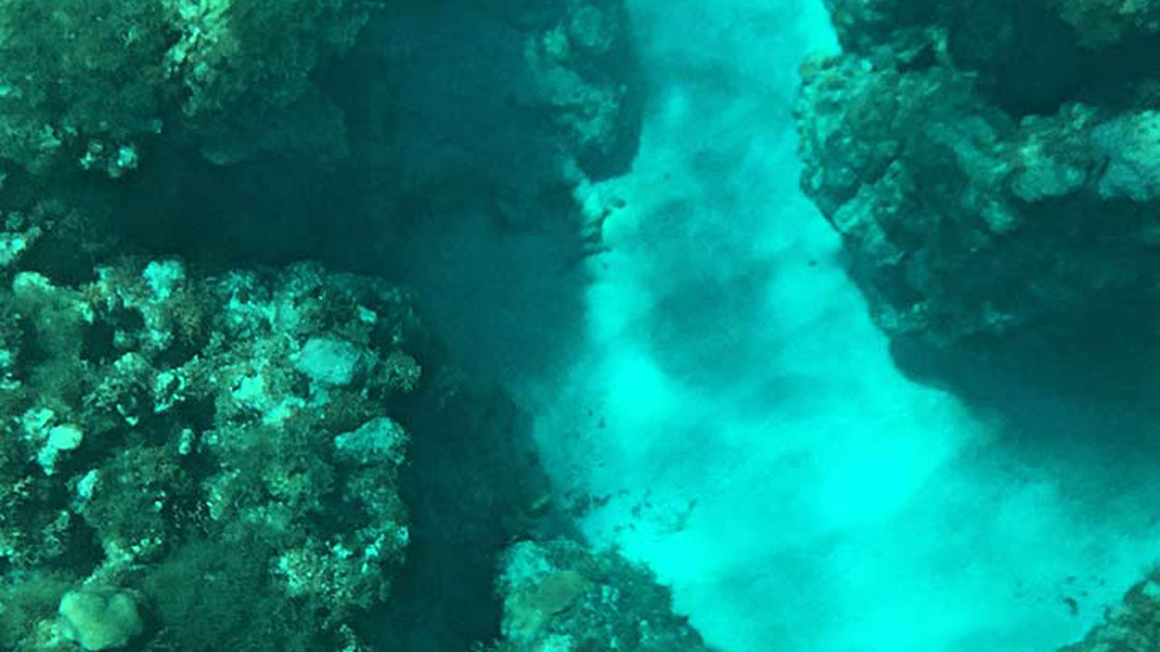 Excursion en bateau à fond de verre au départ d'Hikkaduwa