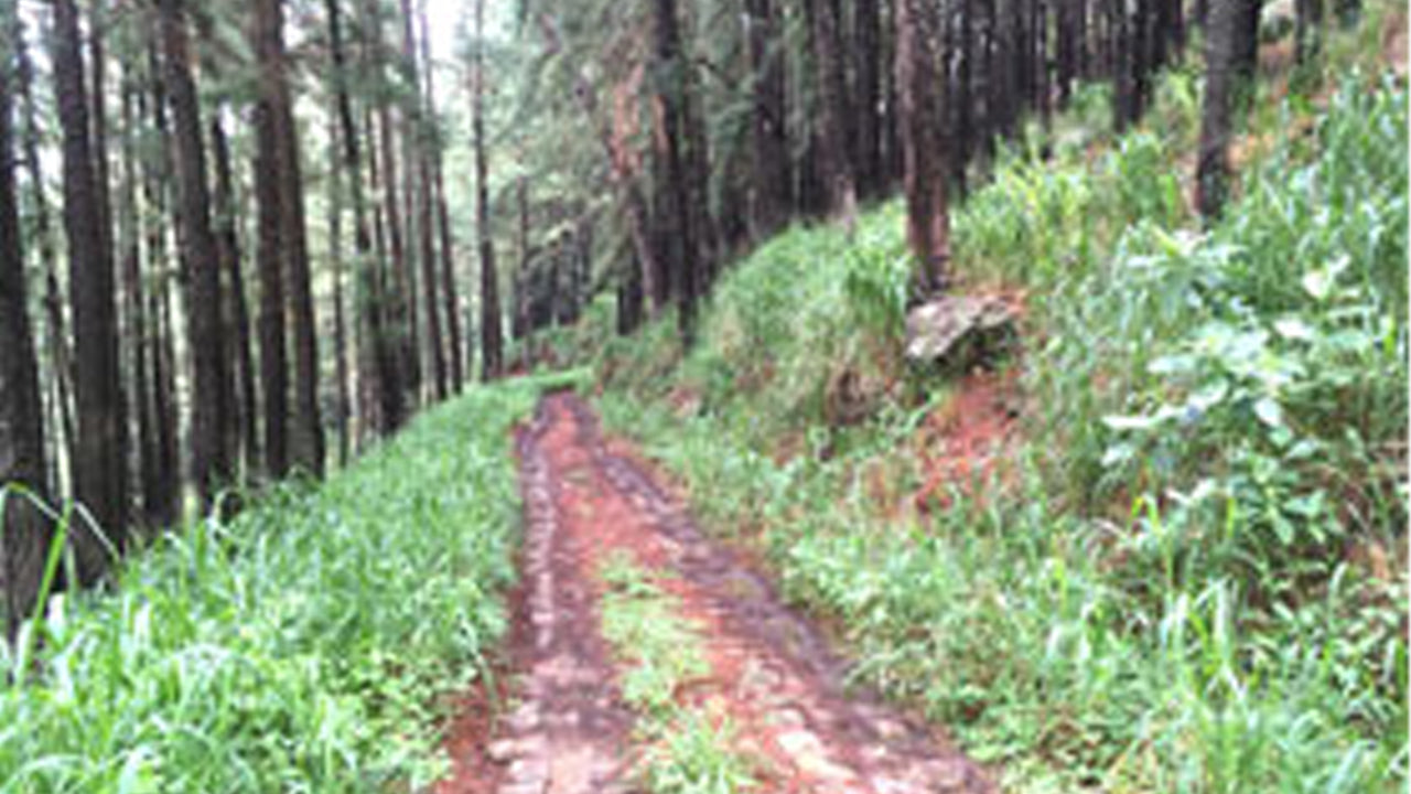 MTB Hantana Ride from Kandy